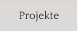 Projekte